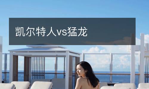 凯尔特人vs猛龙
